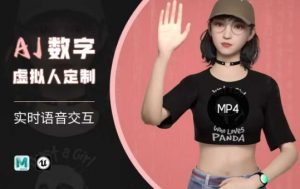 Ai数字人虚拟(智能体)实时语音交互特训营，​自行定制超写实角色AI数字人交互技术-兵兵资源