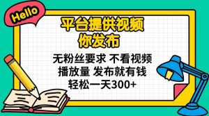 平台提供视频 你发布 无粉丝要求 不看视频播放量 发布就有钱 轻松一天300+-兵兵资源