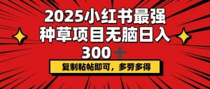 2025小红书最强种草项目，无脑日入300+，复制粘帖即可，多劳多得-兵兵资源