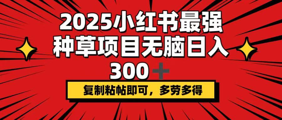 2025小红书最强种草项目，无脑日入300+，复制粘帖即可，多劳多得-兵兵资源