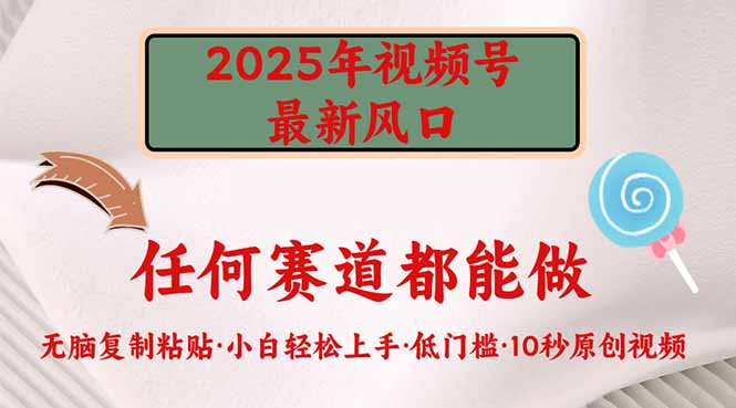 2025年视频号新风口，低门槛只需要无脑执行-兵兵资源