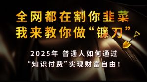 全网都在割你韭菜，我来教你做镰刀,2025普通人如何通过知识付费，实现财F自由【揭秘】-兵兵资源