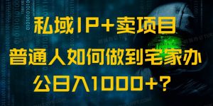 私域IP+卖项目，普通人如何做到宅家办公实现日入1000+-兵兵资源