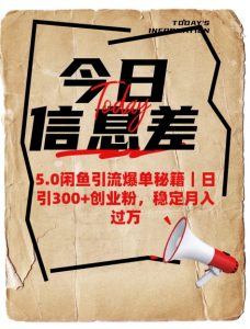 5.0闲鱼引流爆单秘籍，日引300+创业粉，稳定月入过W-兵兵资源