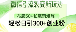 微信引流裂变新玩法：布局50+长尾词矩阵，轻松日引300+创业粉-兵兵资源