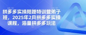 拼多多实操陪跑特训营弟子班，2025年2月拼多多实操课程，海量拼多多玩法-兵兵资源