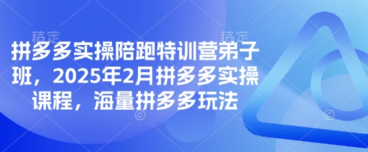 拼多多实操陪跑特训营弟子班,2025年2月拼多多实操课程,海量拼多多玩法-兵兵资源