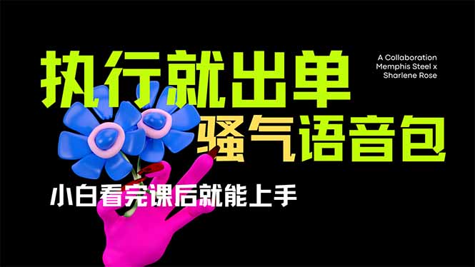 爆火全网的开车导航骚气语音包,只要执行就出单，小白看完课程就能实操…-兵兵资源