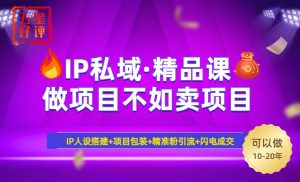 2025年“IP私域·密训精品课”，日赚3000+小白避坑年赚百万，暴力引流...-兵兵资源