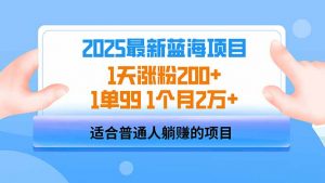 2025蓝海项目 1天涨粉200+ 1单99 1个月2万+-兵兵资源