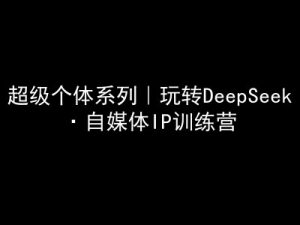 超级个体系列，玩转DeepSeek·自媒体IP训练营，deepseek教程-兵兵资源