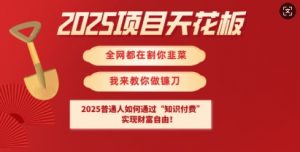 2025项目天花板普通人如何通过知识付费，实现财F自由【揭秘】-兵兵资源