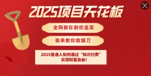 2025项目天花板普通人如何通过知识付费，实现财F自由【揭秘】-兵兵资源