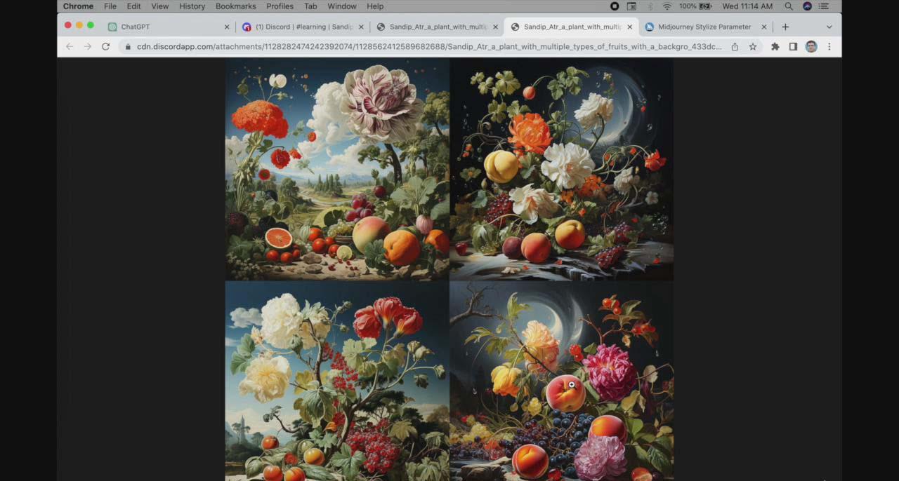 图片[1]-ChatGPT4 和 MidJourney AI 绘画聊天革命性指南教程-33节视频课-中英字幕-兵兵资源