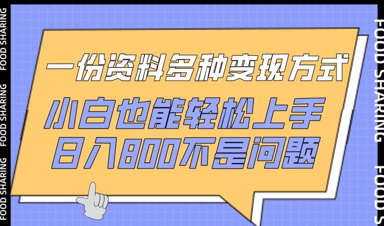 一份资料多种变现方式，小白也能轻松上手，日入800不是问题【揭秘】-兵兵资源