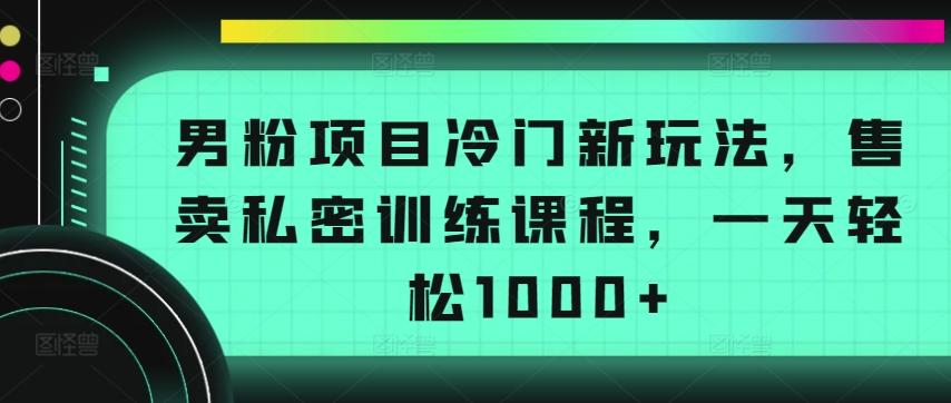 男粉项目冷门新玩法，售卖私密训练课程，一天轻松1000+【揭秘】-兵兵资源