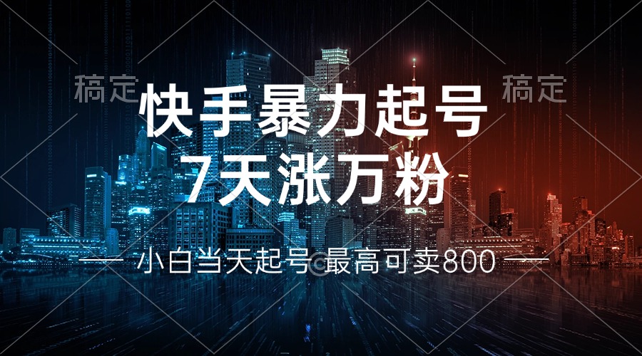 快手暴力起号，7天涨万粉，小白当天起号 多种变现方式，账号回收，单月...-兵兵资源