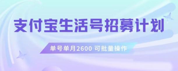 支付宝生活号作者招募计划，单号单月2600，可批量去做，工作室一人一个月轻松1w+【揭秘】-兵兵资源