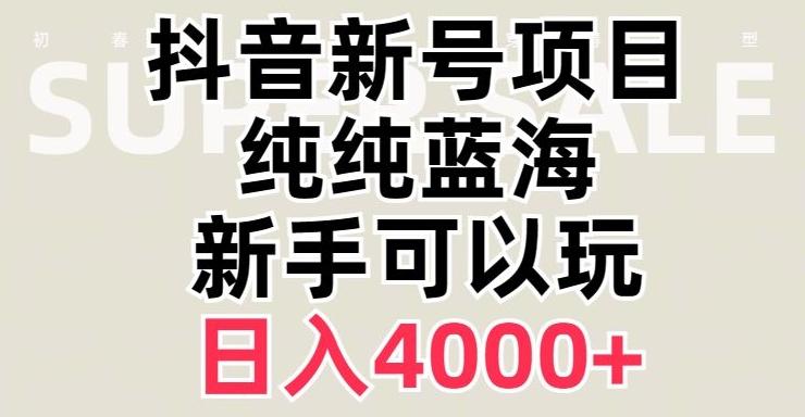 抖音蓝海赛道，必须是新账号，日入4000+【揭秘】-兵兵资源