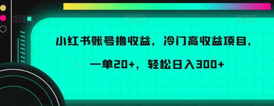 小红书账号撸收益，冷门高收益项目，一单20+，轻松日入300+【揭秘】-兵兵资源