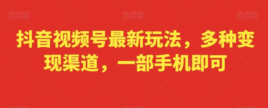 抖音视频号最新玩法，多种变现渠道，一部手机即可-兵兵资源