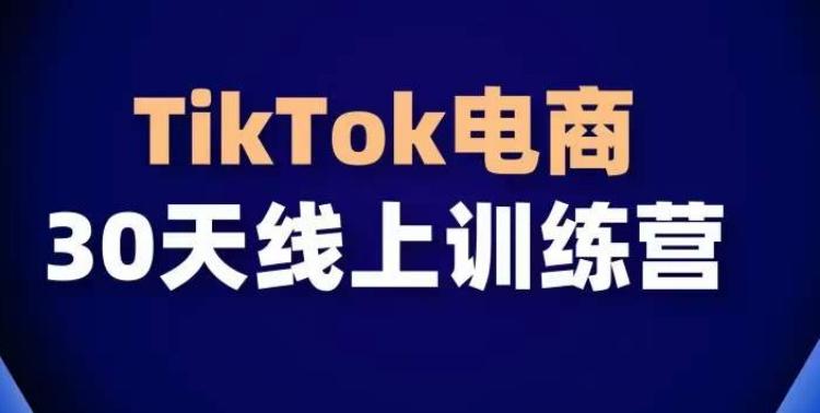 TikTok电商带货30天线上课，不可错过的全球流量洼地！-兵兵资源