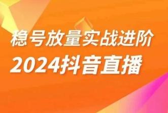 稳号放量实战进阶—2024抖音直播，直播间精细化运营的几大步骤-兵兵资源