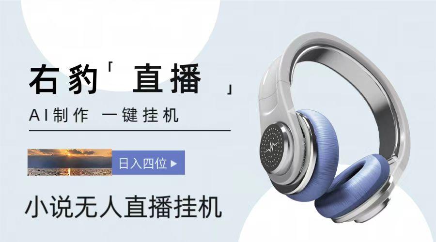 右豹小说无人直播挂机吸金项目,简单易行收益稳定, 月入1000+-兵兵资源