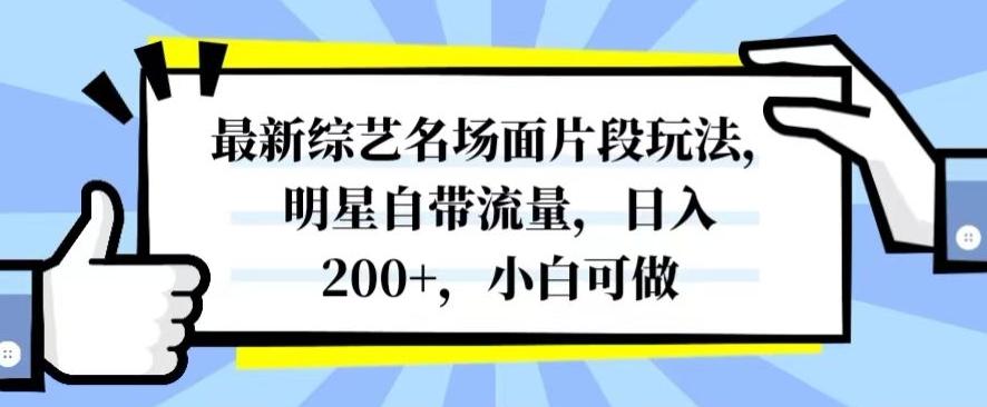 最新综艺名场面片段玩法，明星自带流量，日入200+，小白可做【揭秘】-兵兵资源