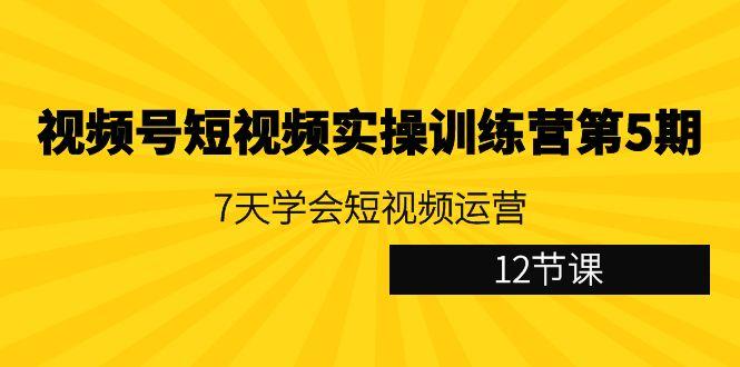 视频号短视频实操训练营第5期：7天学会短视频运营(12节课)-兵兵资源