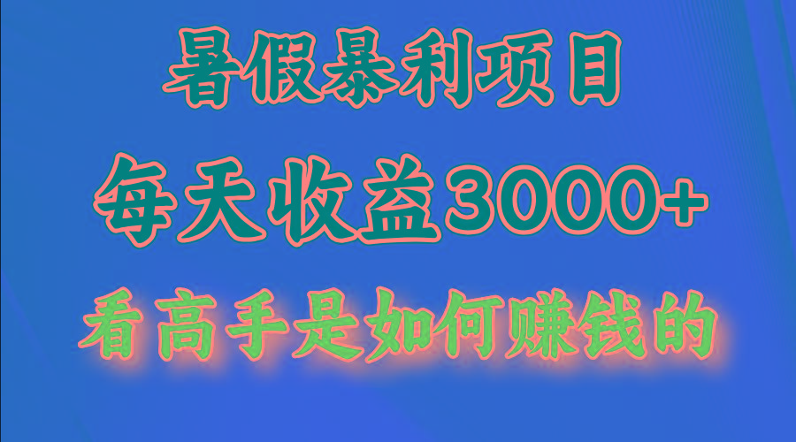 暑假暴力项目 1天收益3000+，视频号，快手，不露脸直播.次日结算-兵兵资源