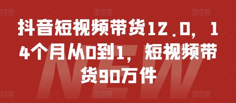 抖音短视频带货12.0，14个月从0到1，短视频带货90万件-兵兵资源