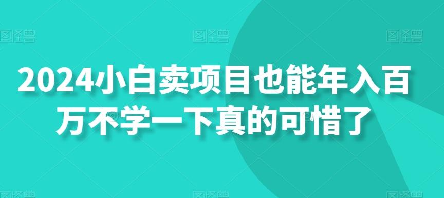 2024小白卖项目也能年入百万不学一下真的可惜了-兵兵资源