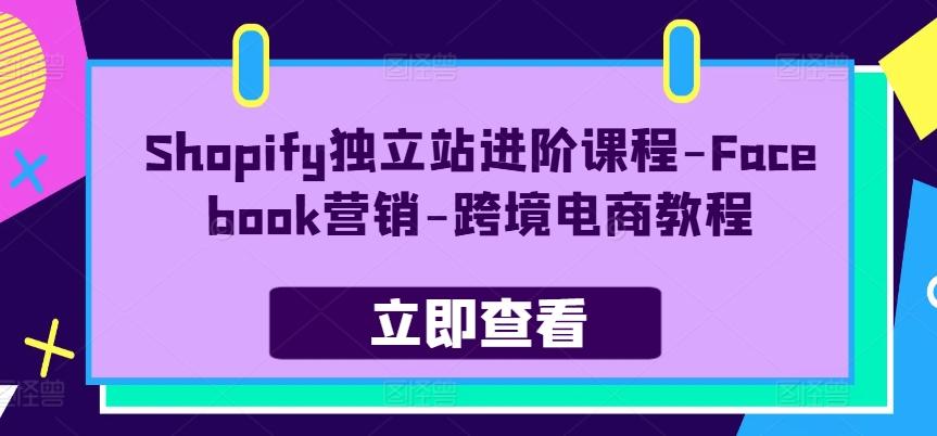 Shopify独立站进阶课程-Facebook营销-跨境电商教程-兵兵资源