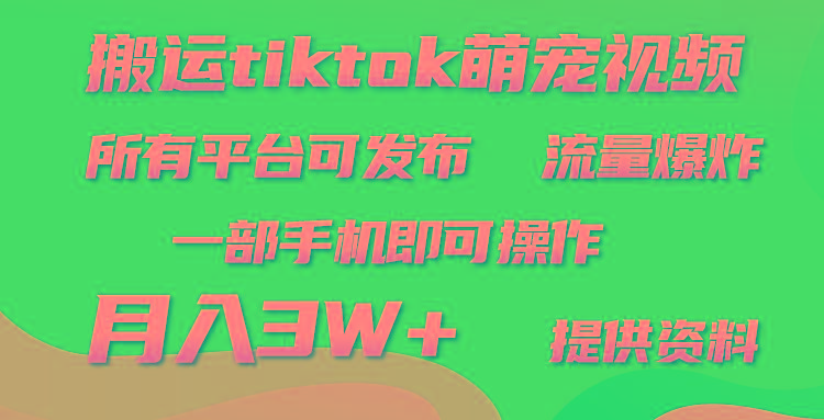 (9618期)搬运Tiktok萌宠类视频，一部手机即可。所有短视频平台均可操作，月入3W+-兵兵资源