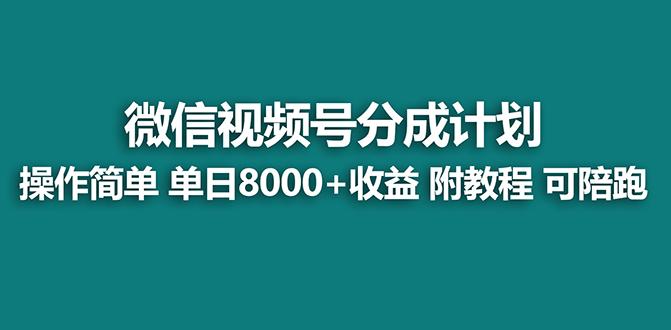 【蓝海项目】视频号分成计划最新玩法，单天收益8000+，附玩法教程，24年…-兵兵资源