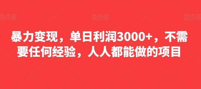 暴力变现，单日利润3000+，不需要任何经验，人人都能做的项目-兵兵资源