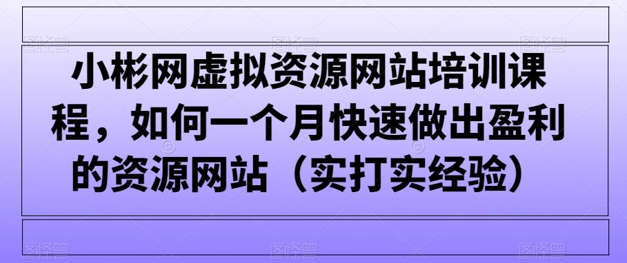 小彬网虚拟资源网站培训课程，如何一个月快速做出盈利的资源网站(实打实经验)-兵兵资源