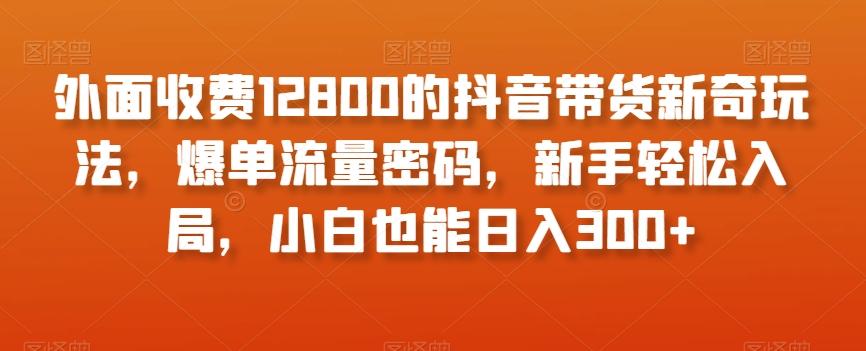 外面收费12800的抖音带货新奇玩法，爆单流量密码，新手轻松入局，小白也能日入300+【揭秘】-兵兵资源