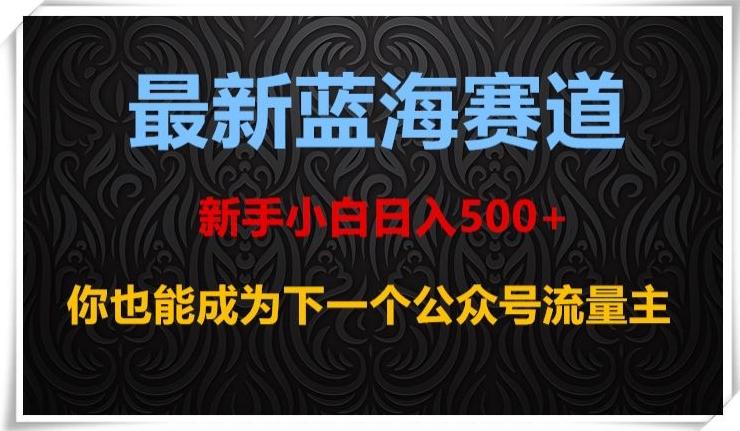 最新蓝海赛道，新手小白日入500+，你也能成为下一个公众号流量主【揭秘】-兵兵资源
