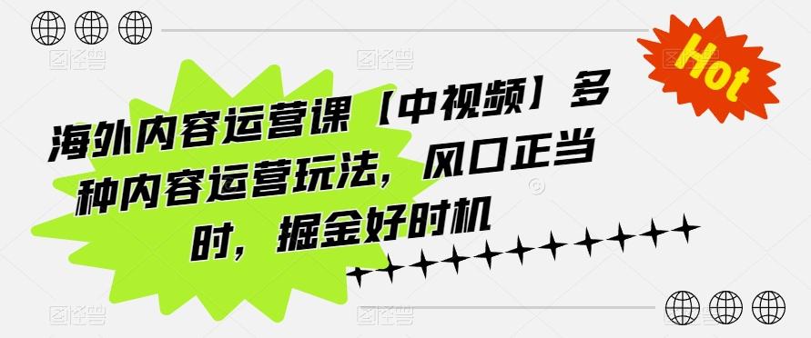 海外内容运营课【中视频】多种内容运营玩法，风口正当时，掘金好时机-兵兵资源