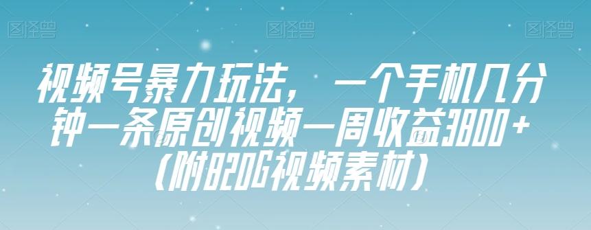 视频号暴力玩法，一个手机几分钟一条原创视频一周收益3800+（附820G视频素材）-兵兵资源