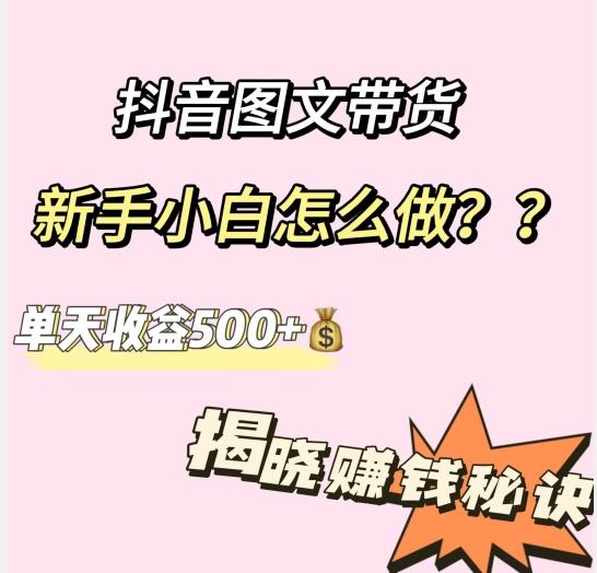 抖音图文带货，新手小白怎么做？单天收益500+【揭秘赚钱秘诀】-兵兵资源