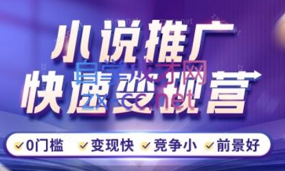 洲洲老师·小说推广快速变现营-兵兵资源