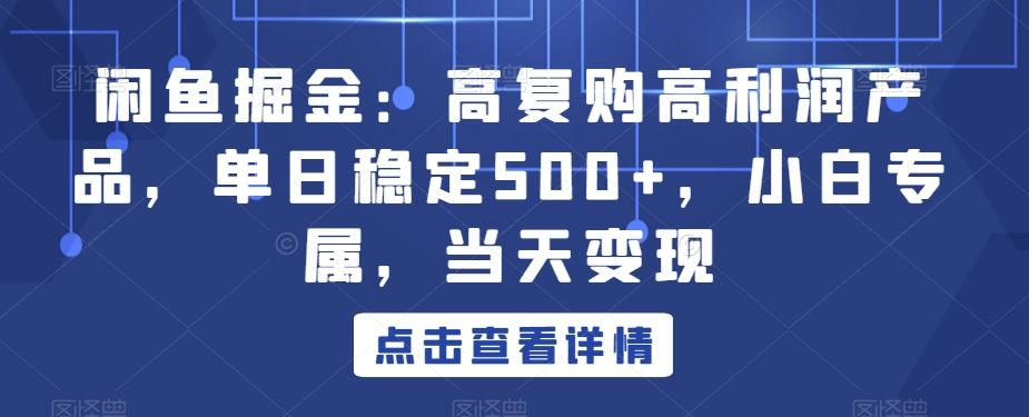 闲鱼掘金：高复购高利润产品，单日稳定500+，小白专属，当天变现-兵兵资源