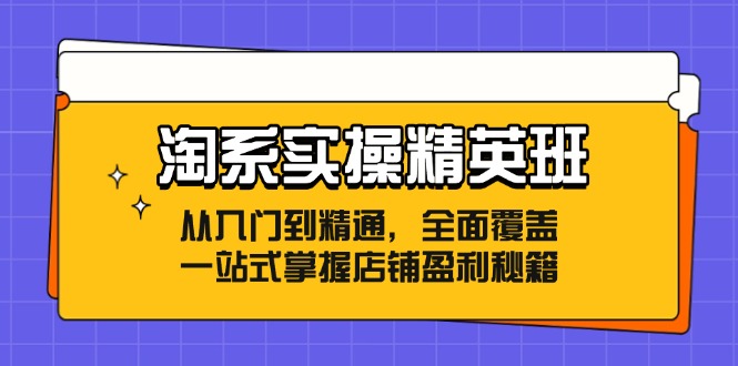 淘系实操精英班：从入门到精通，全面覆盖，一站式掌握店铺盈利秘籍-兵兵资源