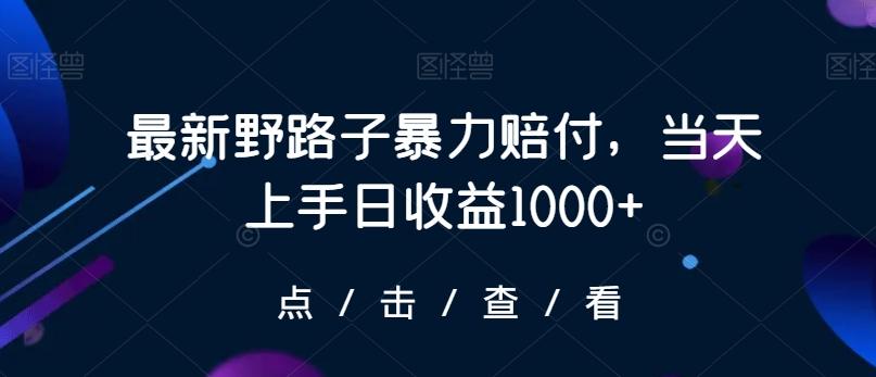 最新野路子暴力赔付，当天上手日收益1000+【仅揭秘】-兵兵资源