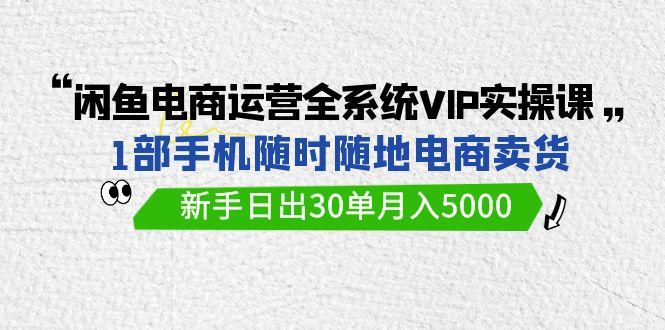 (9547期)闲鱼电商运营全系统VIP实战课，1部手机随时随地卖货，新手日出30单月入5000-兵兵资源