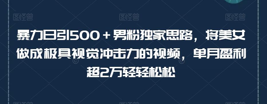 暴力日引500＋男粉独家思路，将美女做成极具视觉冲击力的视频，单月盈利超2万轻轻松松-兵兵资源