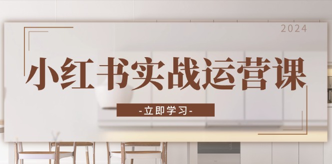 小红书实战运营课：从开通店铺到直播话术，打造爆款笔记与高效直播-兵兵资源
